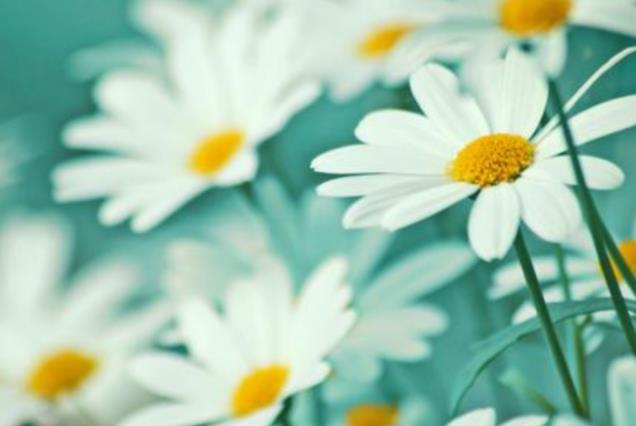 女性最脏的六个习惯,女人最脏的六个生活习惯