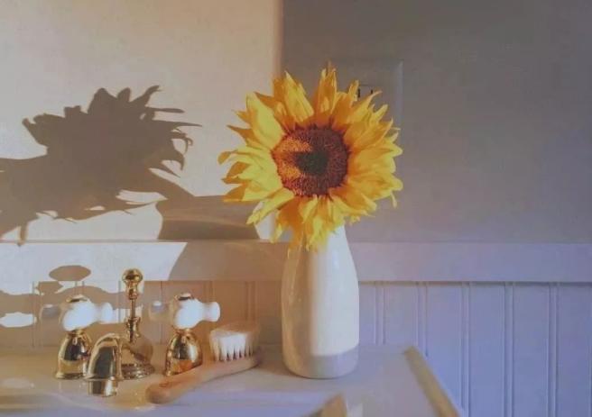 岳母与老公在老婆眼里哪个重要