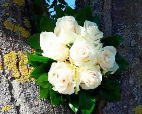 50岁的寡妇再婚的感受是什么,50多岁女人找老伴好还是单身好