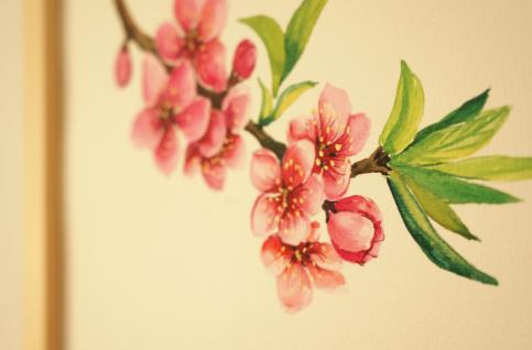 看破男女关系名言,不要可怜任何人的名言