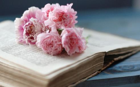 看破男女关系名言,不要可怜任何人的名言