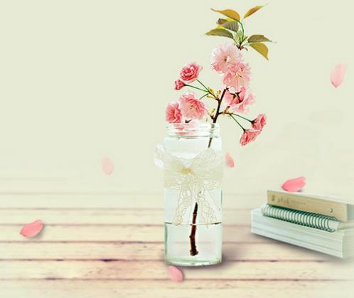 看破男女关系名言,不要可怜任何人的名言