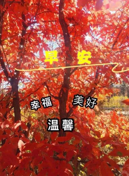 秋分早上好图片，最新秋天早上好漂亮的图片
