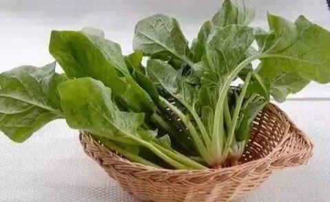 冰箱致癌七大蔬菜,哪些蔬菜在冰箱冷藏会致癌