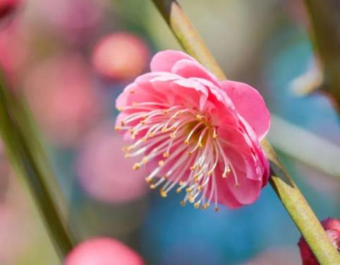 新婚夫妻正确的相处模式,新婚夫妻的相处秘诀