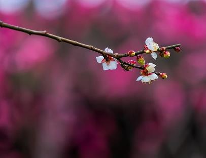 新婚夫妻正确的相处模式,新婚夫妻的相处秘诀