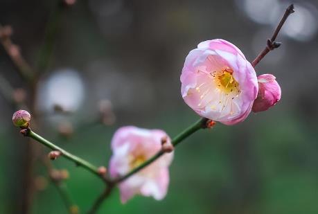 新婚夫妻正确的相处模式,新婚夫妻的相处秘诀