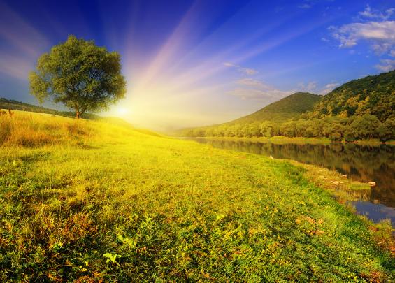 人到晚年选择再婚还是独居好,65岁男人要不要再找老伴