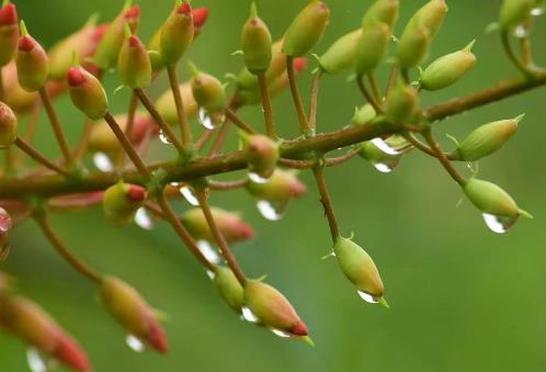 84岁最忌什么,70岁夫妻最忌什么