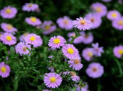 84岁最忌什么,70岁夫妻最忌什么