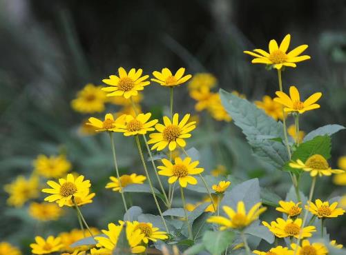 84岁最忌什么,70岁夫妻最忌什么