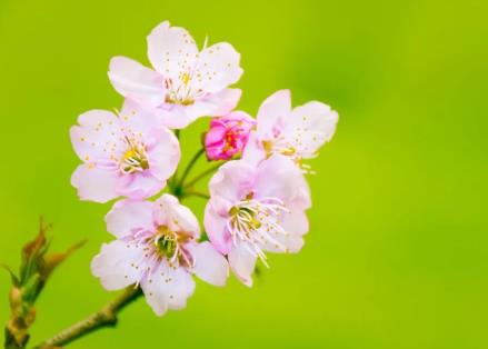 为什么结婚后每次回家父亲都不给好脸色