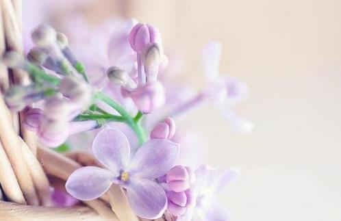 为什么结婚后每次回家父亲都不给好脸色