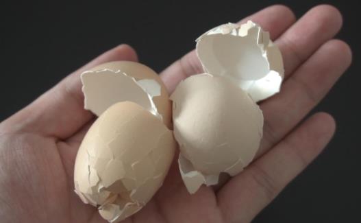 鸡蛋壳的妙用洗毛巾，鸡蛋壳养花正确方法