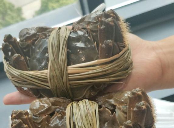 大闸蟹怎样保鲜,大闸蟹什么型号的好吃