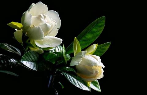 怎么结束一段不正常的关系,不正常的关系到底该不该断