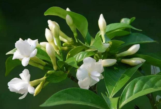 怎么结束一段不正常的关系,不正常的关系到底该不该断