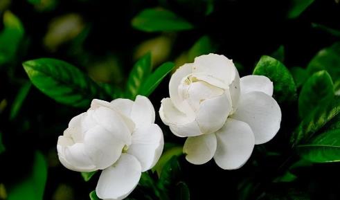 怎么结束一段不正常的关系,不正常的关系到底该不该断