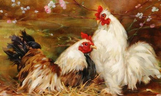 晚年守寡孤独的属相，2023年最顺利的4大属相