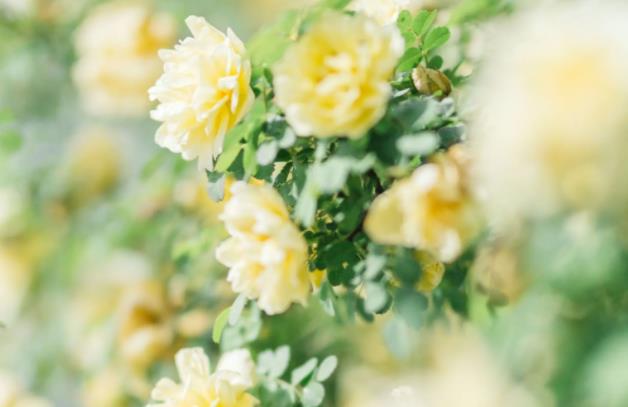 女生之间互相安慰的话，女孩子之间怎么互相安慰