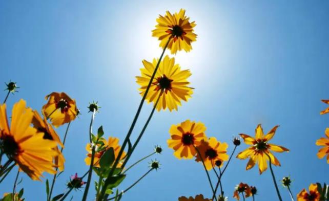 女生之间互相安慰的话，女孩子之间怎么互相安慰