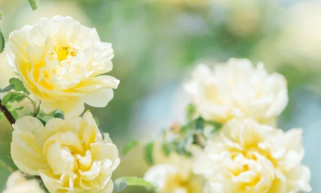 女生之间互相安慰的话，女孩子之间怎么互相安慰