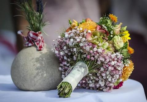 女性最好属相,马和什么属相最配