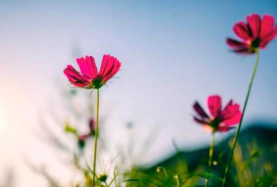 妈妈走后和爸爸关系特别差怎么解决