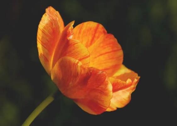 妈妈走后和爸爸关系特别差怎么解决