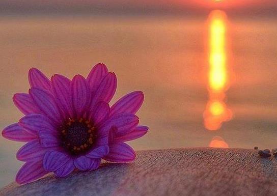 五种报应不能乱说,背叛婚姻的五种报应