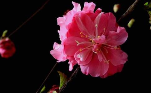 五种报应不能乱说,背叛婚姻的五种报应