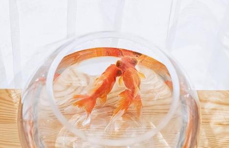 60岁女人还需要男人的陪伴吗，六十女人找老伴有人要吗