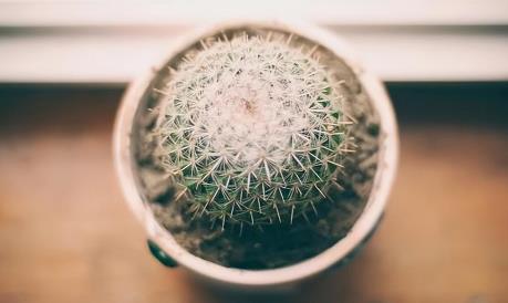 60岁女人还需要男人的陪伴吗，六十女人找老伴有人要吗