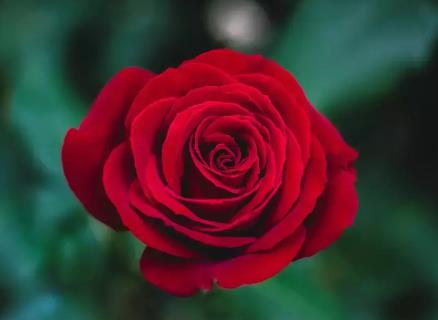 人生酸甜苦辣的感悟,70后人到中年的感悟