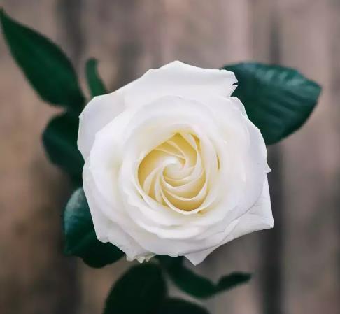 人生酸甜苦辣的感悟,70后人到中年的感悟