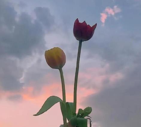 与70岁女人约会聊什么,跟70岁女人聊什么话题