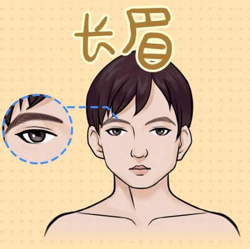 眉毛识人顺口溜大全,男人眉毛看夫妻缘分