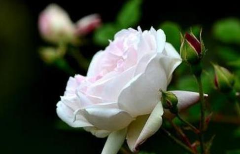 怎样满足男人内心需求，如何满足男性心理需求