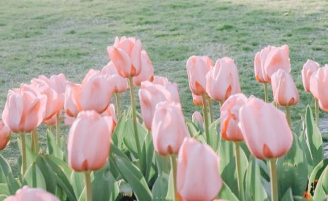 关于50岁女性生理方面知识，50岁女人的生理和心理表现