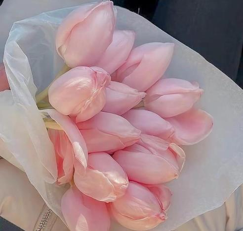 关于50岁女性生理方面知识，50岁女人的生理和心理表现