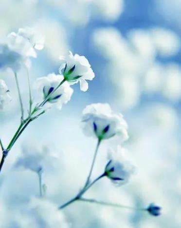 女人偷过情的六个证据,鉴定老婆外遇最简单的方法