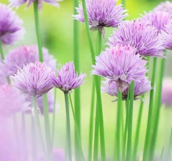 女人偷过情的六个证据,鉴定老婆外遇最简单的方法