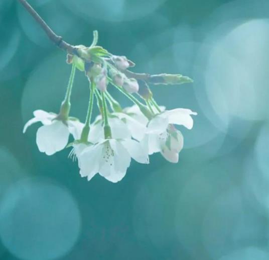 女人偷过情的六个证据,鉴定老婆外遇最简单的方法