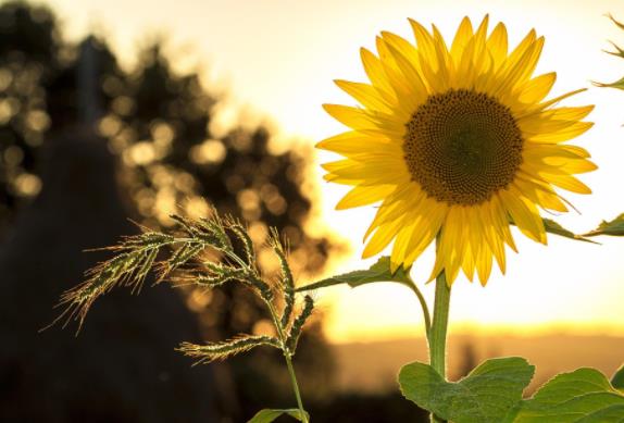 一撩就上钩的女人特征,什么样的女人一聊就上钩呢