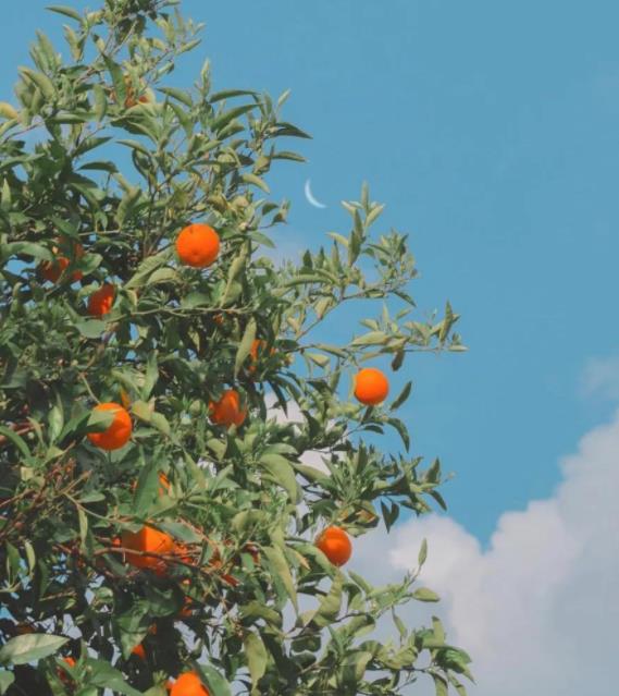 女人身体能承受多少压力，女性在生活中能承受多少压力