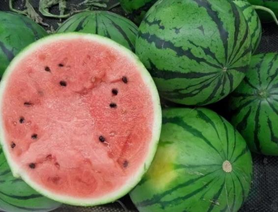 霜降不宜吃的三种东西,霜降什么东西不能吃