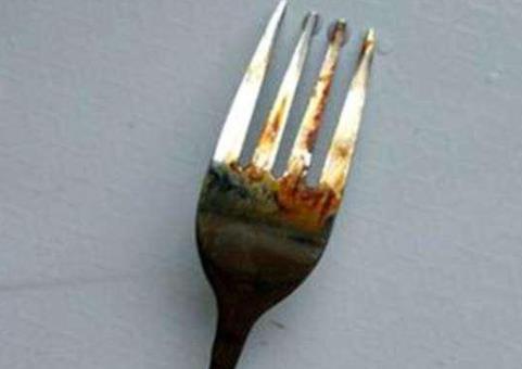 花盆底下垫什么好,花盆底下垫什么最旺