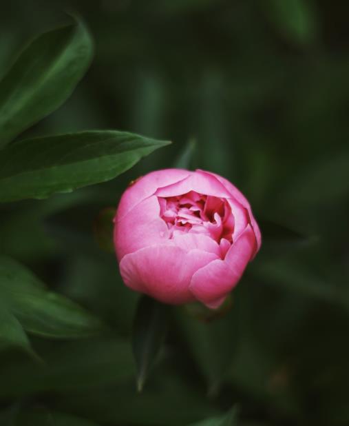 儿子糟蹋妈妈的化妆品怎么办,孩子用妈妈护肤品有危害吗