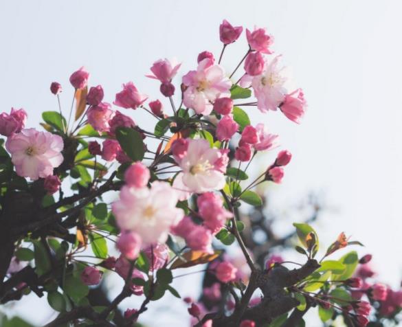 儿子糟蹋妈妈的化妆品怎么办,孩子用妈妈护肤品有危害吗