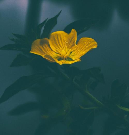 儿子糟蹋妈妈的化妆品怎么办,孩子用妈妈护肤品有危害吗